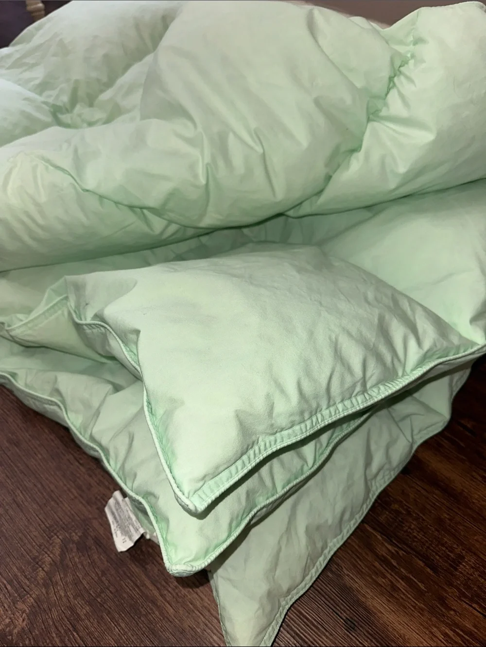 Goose Down & Feather Comforter Twin Size Mint Green Hotel Quality Duvet Insert